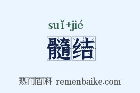 髓结是什么意思的图片
